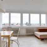 Rent 3 bedroom apartment of 72 m² in Prague