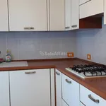 Rent 2 bedroom apartment of 30 m² in Biella