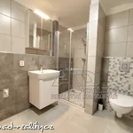 Rent 2 bedroom apartment of 50 m² in České Budějovice