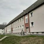 Rent 3 bedroom apartment of 45 m² in Herne