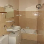 Rent 1 bedroom house of 41 m² in Rodez