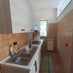 Rent 4 bedroom house of 150 m² in Rome