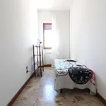 Rent 4 bedroom apartment of 130 m² in Pescara