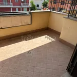 Rent 4 bedroom apartment of 95 m² in Roma