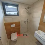 Rent 5 bedroom apartment of 181 m² in Brno