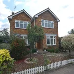 Rent 4 bedroom house in East Of England