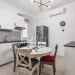 Rent 3 bedroom apartment of 80 m² in Grad Rijeka