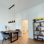 Rent 2 bedroom apartment of 57 m² in Dresden