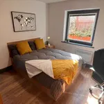 Rent 1 bedroom flat in Leicester