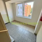 Rent 3 bedroom apartment in Vsetín