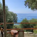 Affitto 2 camera appartamento di 55 m² in Pisciotta