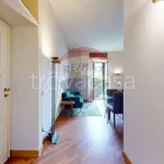 Rent 2 bedroom apartment of 50 m² in Milano