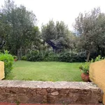 Rent 3 bedroom apartment of 60 m² in Castiglione della Pescaia