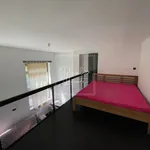 Rent 1 bedroom apartment of 43 m² in Prague