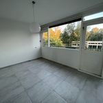 Rent 2 bedroom apartment of 80 m² in Enschede