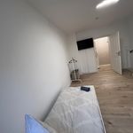 Rent 2 bedroom apartment of 55 m² in Wuppertal