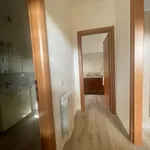 Rent 3 bedroom apartment of 90 m² in Roma