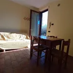 Rent 1 bedroom apartment of 35 m² in Frosinone