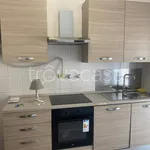 Rent 2 bedroom apartment of 70 m² in Bergamo