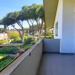 Rent 8 bedroom house of 300 m² in Tarquinia