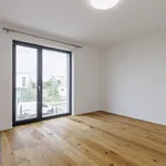 Pronájem domu 175m² s pozemkem 878m²