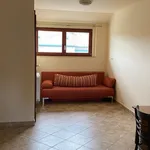 Rent 1 bedroom house of 20 m² in Tata