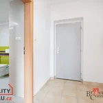 Rent 2 bedroom apartment of 55 m² in Teplá