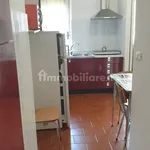 Rent 3 bedroom apartment of 75 m² in Turin