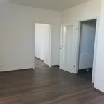 Rent 2 bedroom apartment of 48 m² in Wiener Neustadt