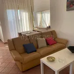 Rent 5 bedroom apartment of 80 m² in Caltagirone