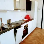 Rent 2 bedroom apartment of 50 m² in Varese