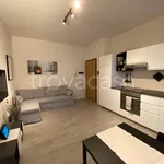 Rent 2 bedroom apartment of 50 m² in Milano