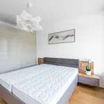 Pronajměte si 4 ložnic/e byt o rozloze 109 m² v Prague