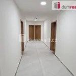 Rent 2 bedroom apartment of 55 m² in České Budějovice