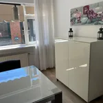 Rent 4 bedroom house in Haarlem