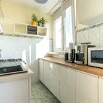 Rent 2 bedroom apartment of 36 m² in Łódź