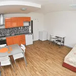 Rent 1 bedroom apartment in Brno