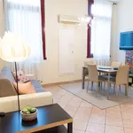 Rent 3 bedroom apartment of 60 m² in Padova