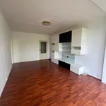 Pronajměte si 3 ložnic/e byt o rozloze 77 m² v Pilsen