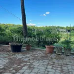 Rent 4 bedroom apartment of 130 m² in Perugia