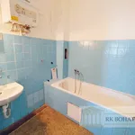 Pronajměte si 4 ložnic/e byt o rozloze 110 m² v Prague