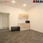 Rent 2 bedroom apartment in Brno