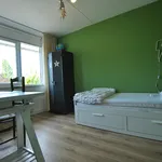 Rent 5 bedroom house of 162 m² in Eindhoven