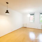 Pronájem bytu 1+kk, Na Horizontu, Beroun,  30 m2