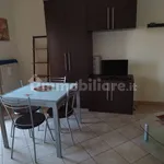 Rent 2 bedroom apartment of 40 m² in Turin