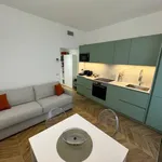 Rent 1 bedroom apartment of 45 m² in milano