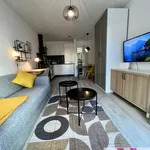 Rent 1 bedroom apartment of 30 m² in Nuremberg