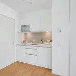 Rent 2 bedroom apartment of 23 m² in Zurich