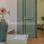 Rent 2 bedroom apartment of 50 m² in Pisa