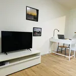 Rent 1 bedroom apartment of 48 m² in Bremen